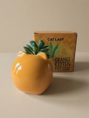 CatLadyBox Ceramic Orange Kitten Pot Planter with Faux Succulent